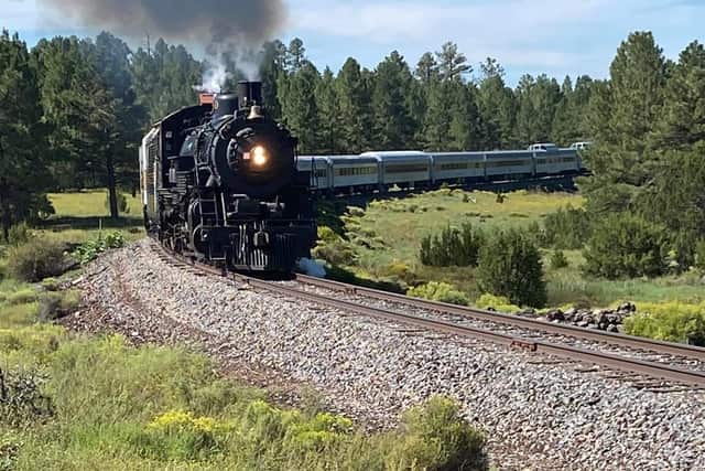 A steam train rounding a curve through the pine forest outside Williams